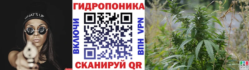 Сколько стоит Семёнов Alpha-PVP  COCAIN  Метамфетамин  Каннабис  ГАШ  МЕФ  Амфетамин 