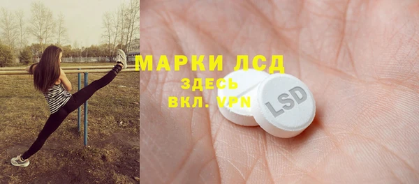 стаф Бородино