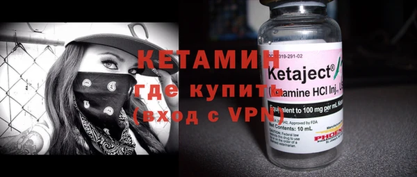 стаф Бородино