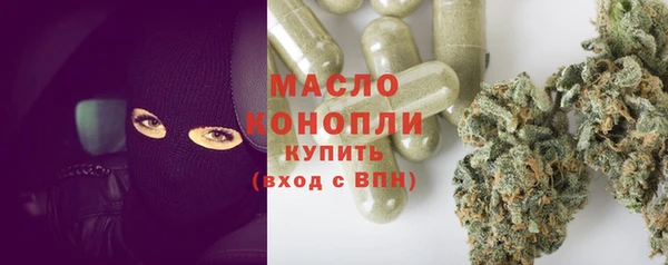 стаф Бородино