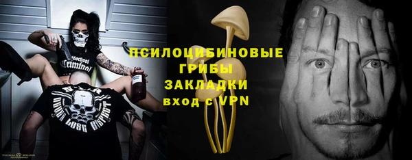 гидропоника Бугульма