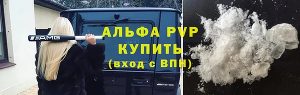 стаф Бородино