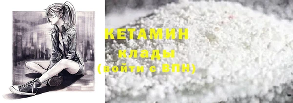 стаф Бородино