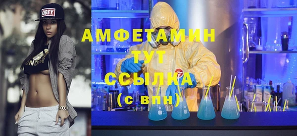 стаф Бородино