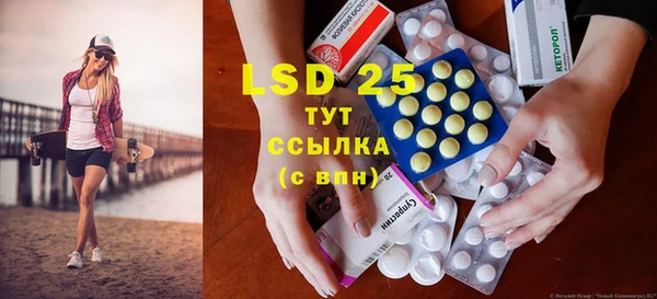 стаф Бородино