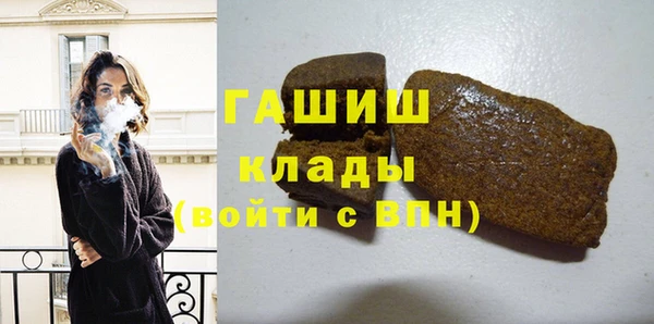 стаф Бородино