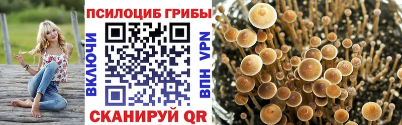Галлюциногенные грибы Psilocybine cubensis  Семёнов 