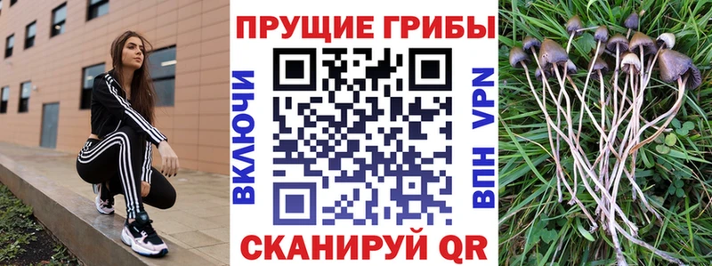 Псилоцибиновые грибы прущие грибы Семёнов