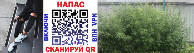 закладки blacksprut вход Бошки Шишки ГИДРОПОН Семёнов